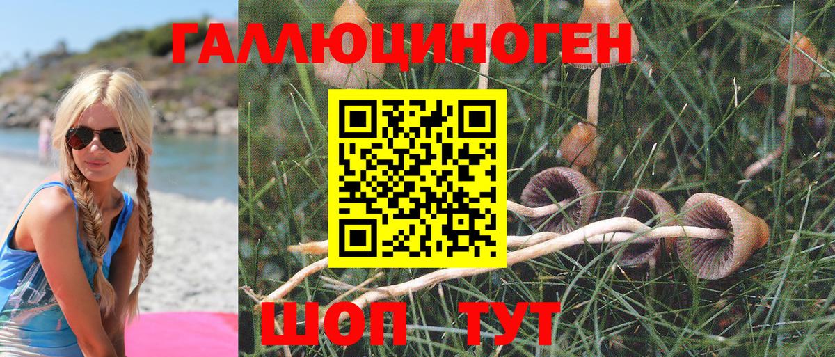 даркнет сайт  Галлюциногенные грибы Cubensis  Вход с VPN  Вольск  Псилоцибиновые грибы GOLDEN TEACHER 